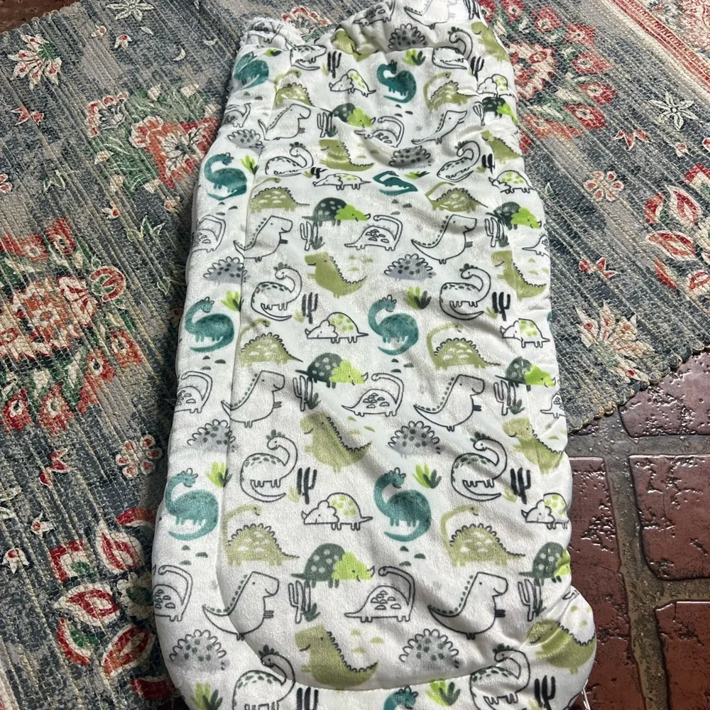 Dinosaur Print Baby Sleeping Bag